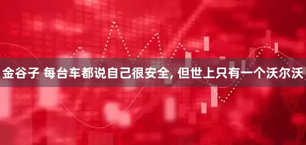 金谷子 每台车都说自己很安全, 但世上只有一个沃尔沃